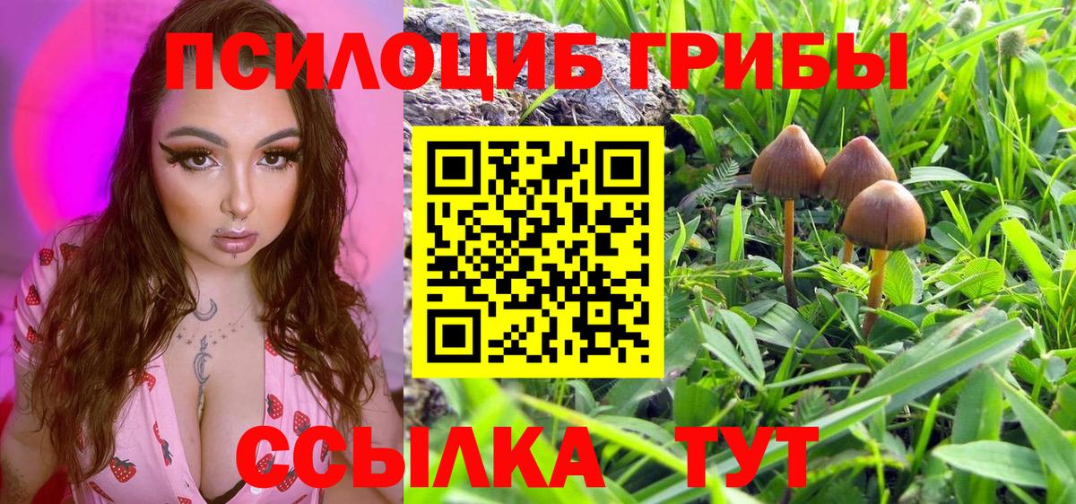 Галлюциногенные грибы мухоморы  Галлюциногенные грибы Psilocybe  Сокол  Вход с VPN 