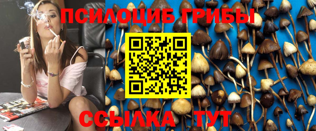 Галлюциногенные грибы прущие грибы Сокол